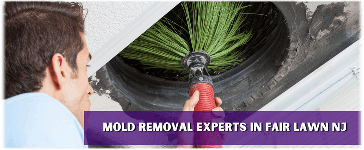 Air Duct Mold Removal in Fair Lawn NJ