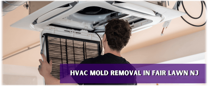 HVAC Mold Removal Fair Lawn NJ